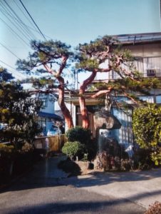 教室の様子写真2